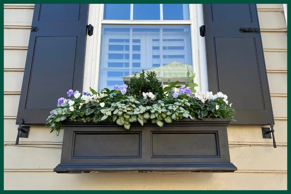 Cute planter box with purple plants by garage.